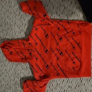 4t Champion Sweatsuit